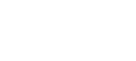 Polmar Białe Logo